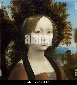 Leonardo da Vinci (italiano, 1452 - 1519 ), Ginevra de' Benci [complementare], c. 1474/1478, olio su pannello Foto Stock