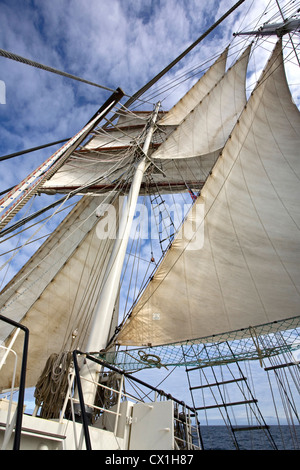 Vele, a montanti e manovre a bordo delle Tall Ship / barquentine Antigua Sailing con i turisti verso le isole Svalbard, Spitsbergen Foto Stock