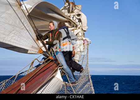 Gestione dei marinai per le vele bompresso della tall ship / barquentine Antigua Sailing con i turisti verso le isole Svalbard, Spitsbergen Foto Stock