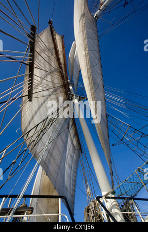 Vele e manovre a bordo delle Tall Ship / barquentine Antigua Sailing con i turisti verso le isole Svalbard, Spitsbergen, Norvegia Foto Stock