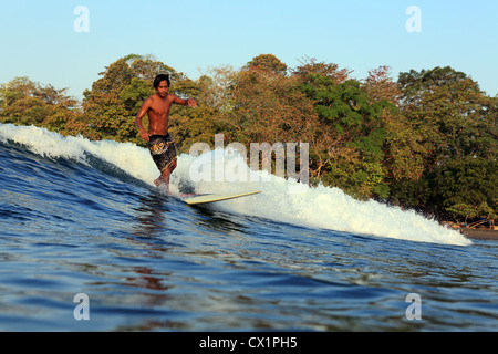 Surfista locale surf la rottura del punto onda su un longboard a Batu Karas nel West Java. Foto Stock