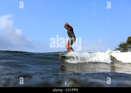Surfista locale surf la rottura del punto onda su un longboard a Batu Karas nel West Java. Foto Stock