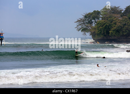 Surfista locale surf la rottura del punto onda su un longboard a Batu Karas nel West Java. Foto Stock