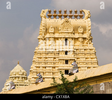 Elk201-4128 India, nello Stato del Tamil Nadu, Kanchipuram, Sri Ekambaranathar tempio Foto Stock