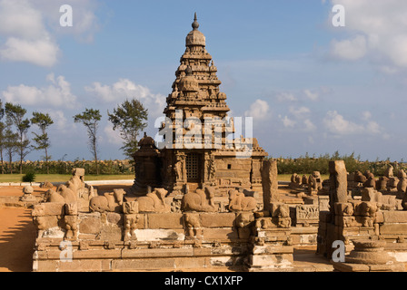 Elk201-4229 India, nello Stato del Tamil Nadu, Mamallapuram, Shore Temple Foto Stock