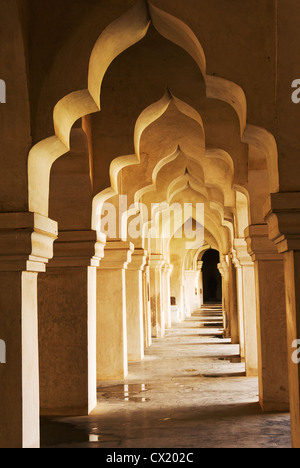 Elk201-4677v India, nello Stato del Tamil Nadu, Thanjavur, Royal Palace, Durbar Hall Foto Stock