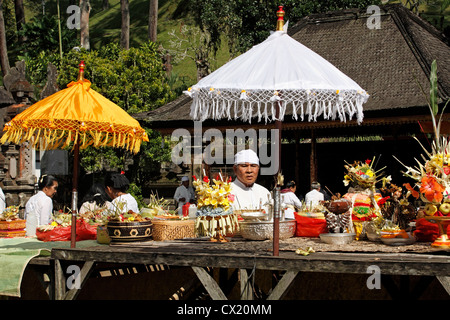 Un sacerdote di ispezionare offerte durante una cerimonia Indù. Pura Tirta Empul, o santo tempio a molla,Tampaksiring, nei pressi di Ubud, Bali Foto Stock