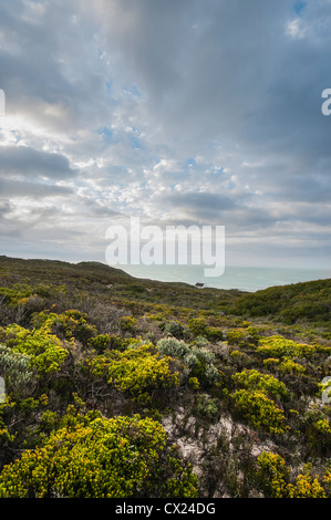 Ritratto di cottage sul mare preso in De Hoop Riserva Naturale del Sud Africa Foto Stock