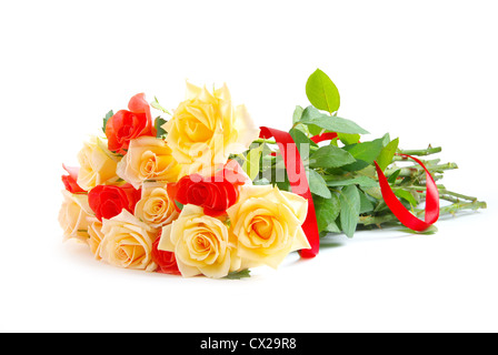 Red Rose isolato su uno sfondo bianco Foto Stock