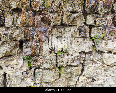 Incrostazioni di minerali nei resti di una fornace di calce impostato nella scarpata in banca, Cumbria, Inghilterra Foto Stock