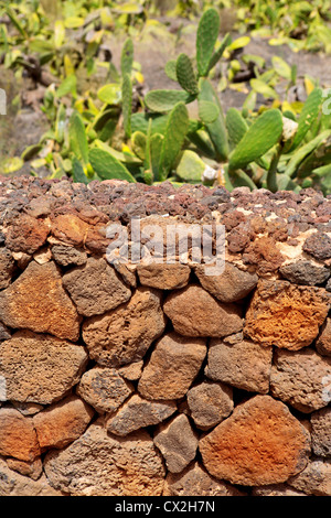 Lanzarote La Guatiza muratura con pietre vulcaniche Isole Canarie Foto Stock