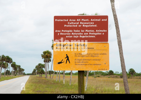 Scena lungo il sentiero Tamiami per voli attraverso il South Florida Everglades area. Foto Stock