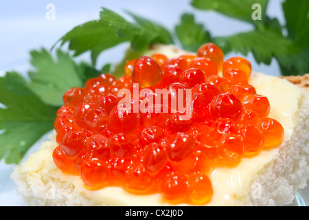 Sandwich con burro e caviale Foto Stock