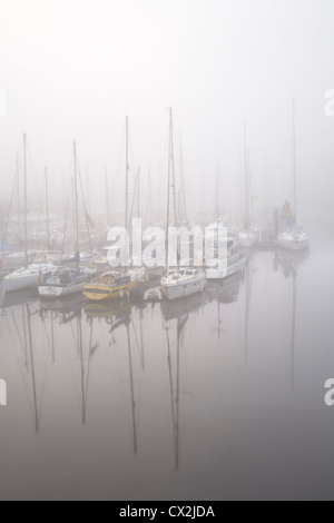 Barche ormeggiate sul fiume Ely a Penarth Marina, Cardiff Bay, pesante nebbia di mattina. Foto Stock