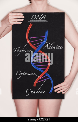 Diagramma / illustrazione di un filamento di DNA Double Helix disegnato su una lavagna in gesso. Immagine concettuale Foto Stock