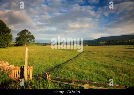 Alba su pascoli Askrigg; Askrigg village, Wensleydale; Yorkshire Dales National Park, England, Regno Unito Foto Stock