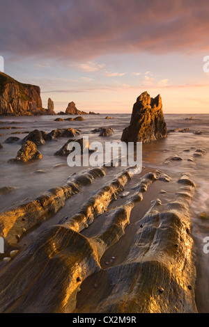 Golden serata sole bagna le rocce e cenge a Bantham nel sud prosciutti, Devon, Inghilterra. In autunno (settembre 2010). Foto Stock