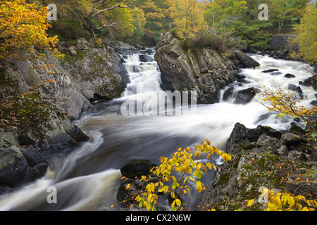 Il fogliame di autunno avvolge il fiume Garbe Uisge presso le cascate di Leny vicino a Callander, Stirling, Scozia. In autunno (ottobre 2010). Foto Stock