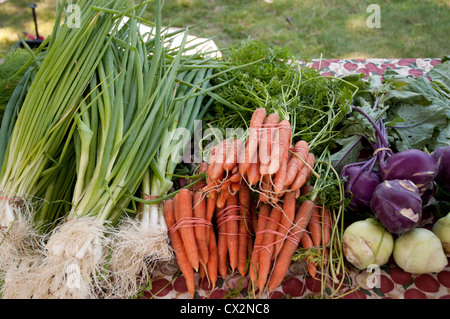 A Wakefield Farmers Market, verdure fresche sono sul display dal contadino di daves Dracut, MA Foto Stock