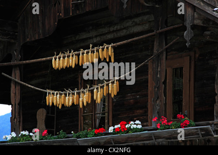 Vecchia casa in legno in Ladis, Tirolo, Austria Foto Stock