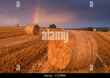 Balle di fieno in un campo di raccolta di arcobaleno overhead, Eastington, Devon, Inghilterra. Estate (Agosto 2012). Foto Stock