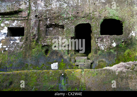 Grotte di Monaco al tempio Gunung Kawi di Bali Foto Stock