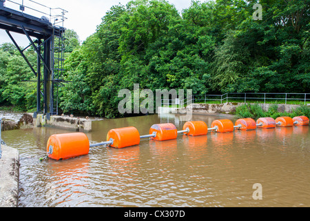 Blocco di Teston Foto Stock