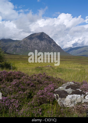 dh Rannoch Moor montagna GLEN COE ARGYLL Scottish Highland Glencoe scotland highlands viola erica stob dearg montagne Foto Stock