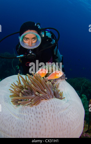 Scuba Diver guardando il pesce di anemone di Komodo, Indonesia, oceano mare, immersioni subacquee, femmina sub, maschera ovale, blu acqua e vita marina Foto Stock