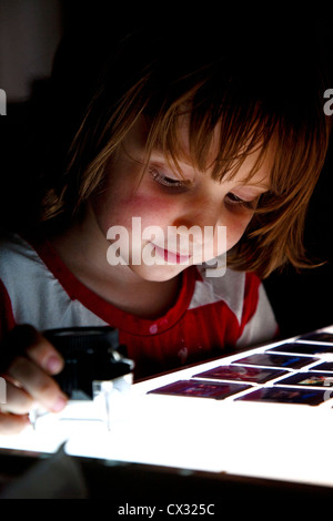 Ragazzo che guarda a 35mm scorre su una scatola di luce Foto Stock