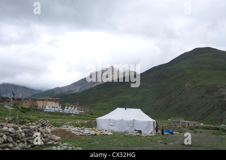 Dolpa è la più interessante meta di trekking, il tesoro nascosto e sorgente di montagna "Viagra Yarsagumba' in Nepal. Foto Stock