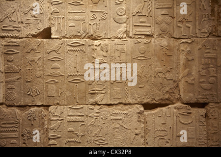 Egitto vecchia antichi scritti sullo sfondo Foto Stock