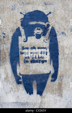 Scimpanzé Blu Vernice spray wall art, Banksy Foto Stock