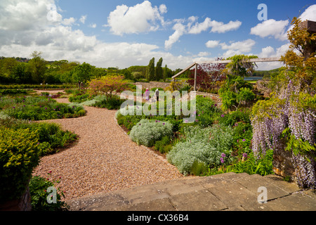 Il Giardino di ghiaia a Holt Biologico di Fattoria giardino, Blagdon, North Somerset, Inghilterra, Regno Unito Foto Stock