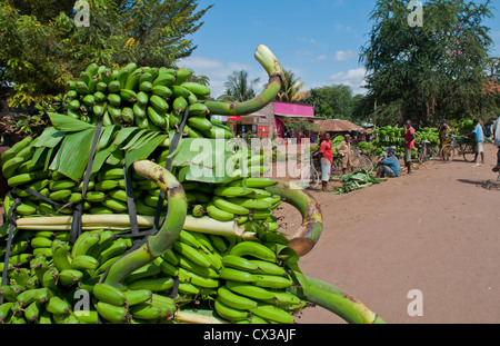 Tanzania Africa villaggio di zanzara Mto Wa Mbu storico villaggio di poveri con banane per la vendita e i negozi per la gente del posto Foto Stock