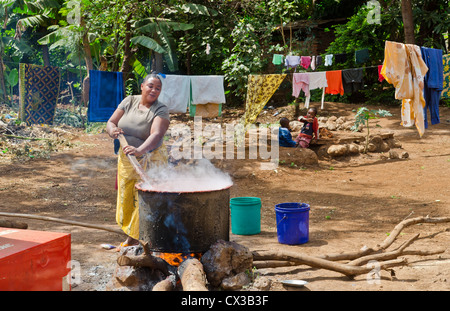 Il villaggio di zanzara Mto Wa Mbu Tanzania Africa village donna la cottura pentola grande banana birra per la vendita ai turisti #6 Foto Stock