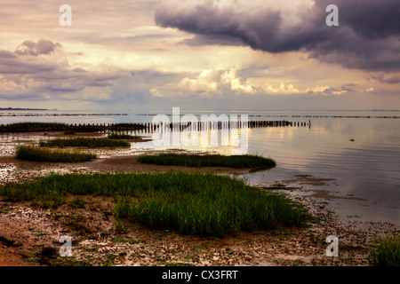 Wattenmeer, Lahnung, Sonnenuntergang, Kampen, Sylt, Schleswig-Holstein, Germania Foto Stock