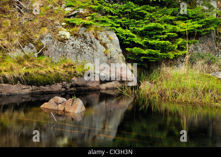 Affioramenti di roccia si riflette in beaver pond, Killarney Provincial Park, Ontario, Canada Foto Stock