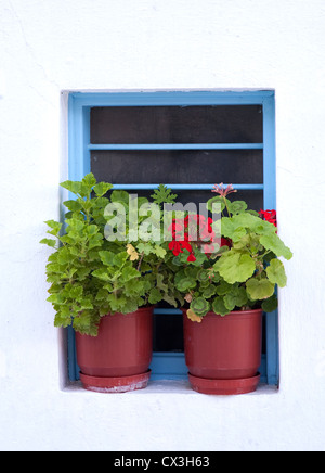 Gerani seduto su una finestra di un tradizionale stile home con stucco bianco esterno sulla isola di Mykonos, Grecia. Foto Stock