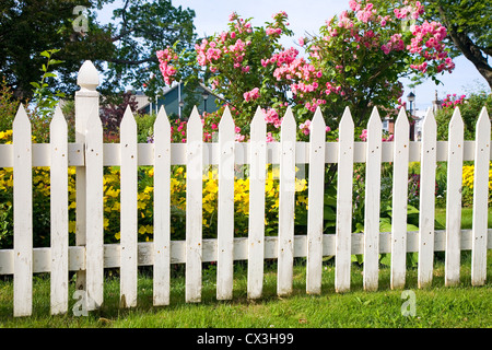 Bianco rustico Picket Fence con rose e altri fiori in background. Foto Stock