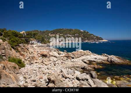 Baia di Llafranc, Calella de Palafrugell, in Costa Brava Catalogna, Spagna, Europa Foto Stock