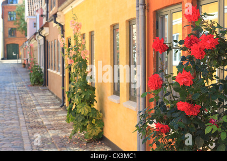 Scena di strada in Odense Danimarca vicino alla casa di Hans Christian Andersen Foto Stock