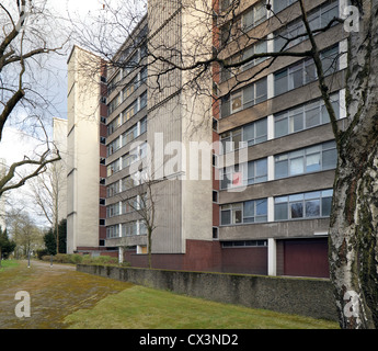 Interbau Berlin, Berlin, Germania. Architetto: vari architetti, 1957. Elevazione del nord di Walter Gropius torre residenziale. Foto Stock