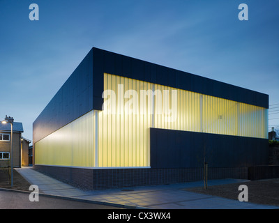 Sandford Park School, Ranelagh, Irlanda. Architetto: DTA Architects, 2007. Vista della sala multiuso che mostra rivestimento fibercement Foto Stock