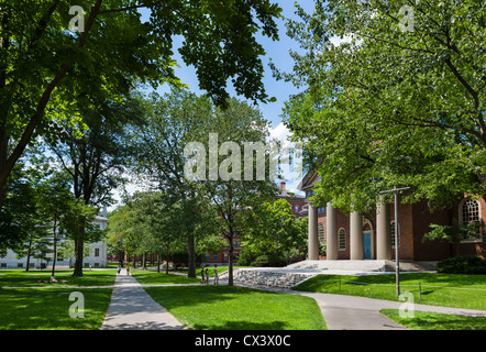 Harvard Yard con la chiesa memoriale a destra , la Harvard University di Cambridge, Boston, Massachusetts, STATI UNITI D'AMERICA Foto Stock