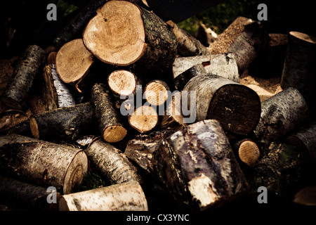Un palo di legno realizzate dai registri di diverse forme e dimensioni Foto Stock