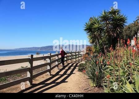 Palisades Park, Santa Monica, Los Angeles, California, Stati Uniti d'America Foto Stock