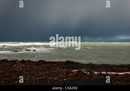 Uno sguardo alla vita in Nuova Zelanda: Tempesta sud sulla costa Kaikoura, Nuova Zelanda Foto Stock