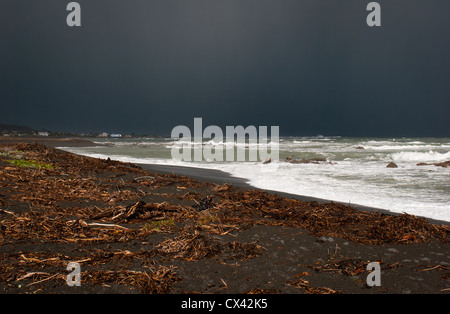 Uno sguardo alla vita in Nuova Zelanda: Tempesta sud sulla costa Kaikoura, Nuova Zelanda Foto Stock