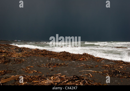 Uno sguardo alla vita in Nuova Zelanda: Tempesta sud sulla costa Kaikoura, Nuova Zelanda Foto Stock